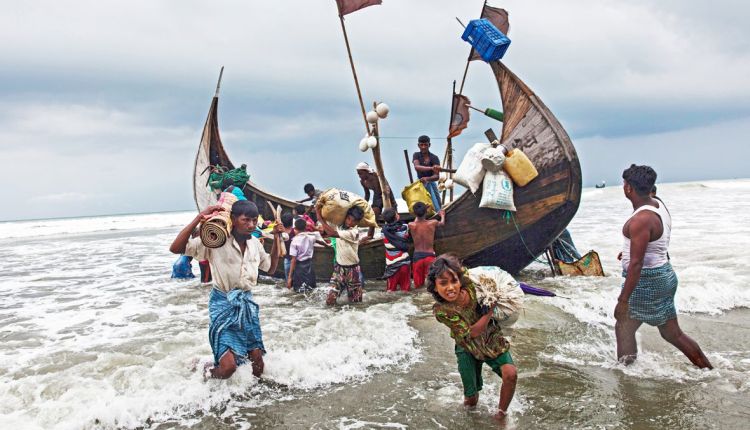 rohingya