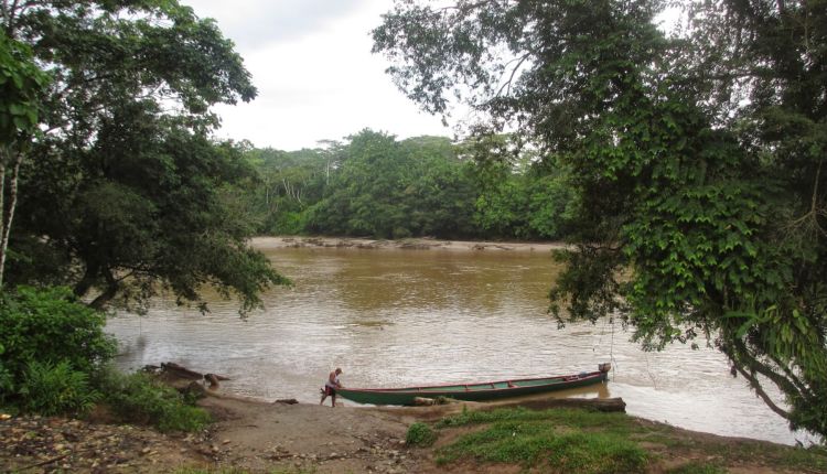 colombia falsi positivi
